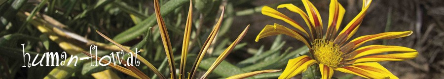 humanflow
